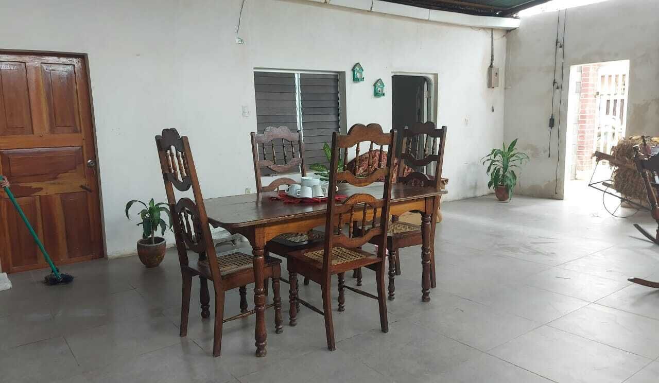 A dining area with a wooden table and chairs, potted plants, and a broom.