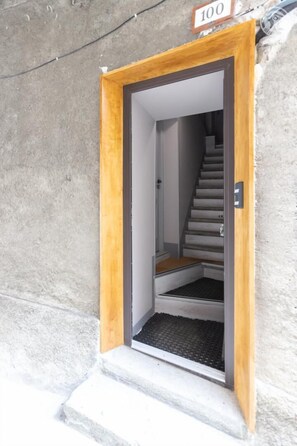 Exterior detail - Pointe DE Bellecombe (VILLARODIN BOURGET)