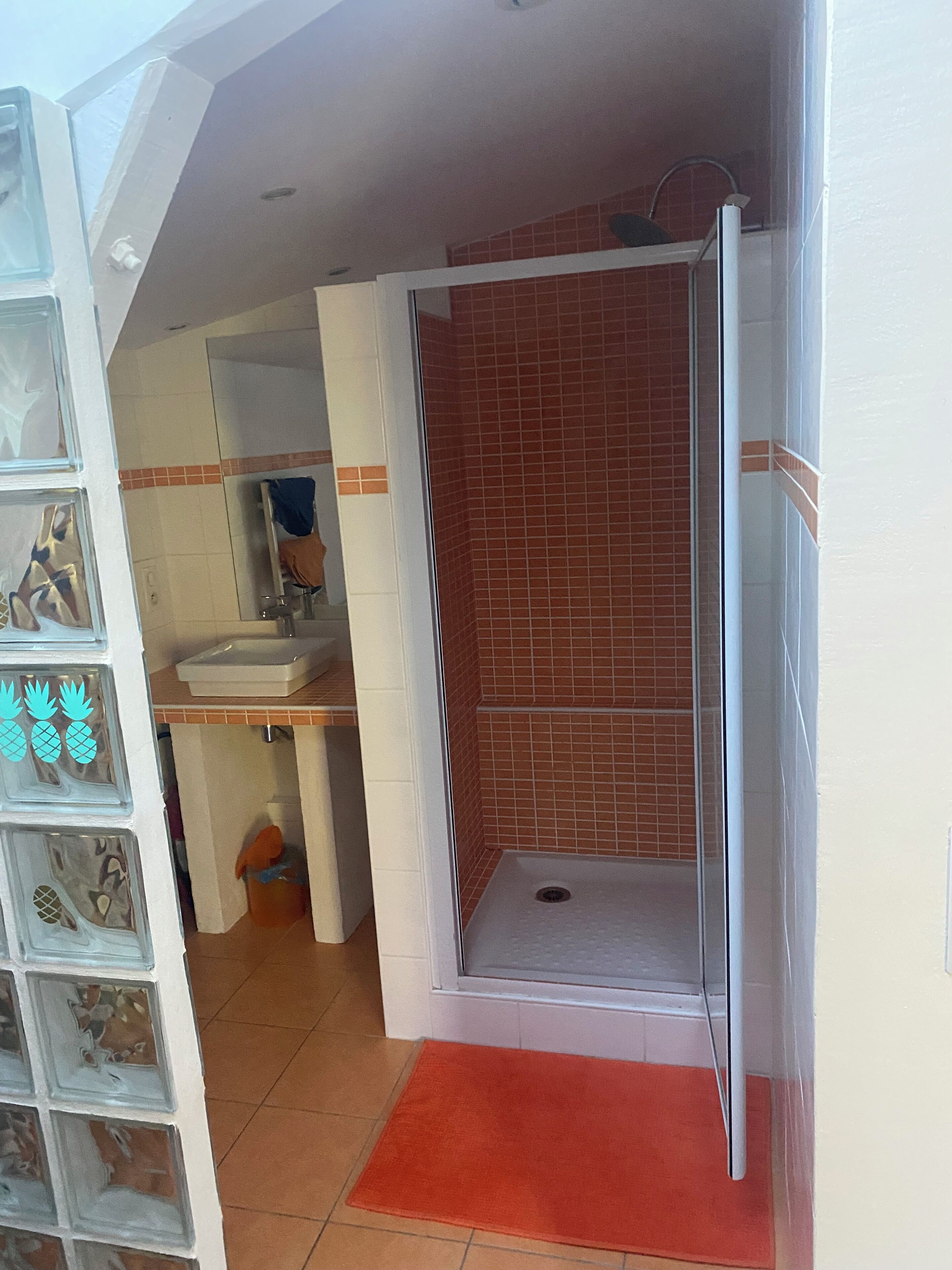 Hair dryer, bidet, towels, toilet paper