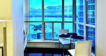 Spectacular High-Rise Downtown Lakeview Apartment