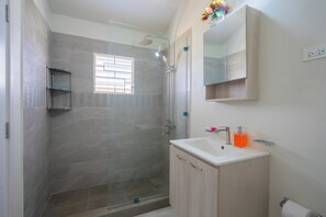 Shower, hair dryer, towels, soap