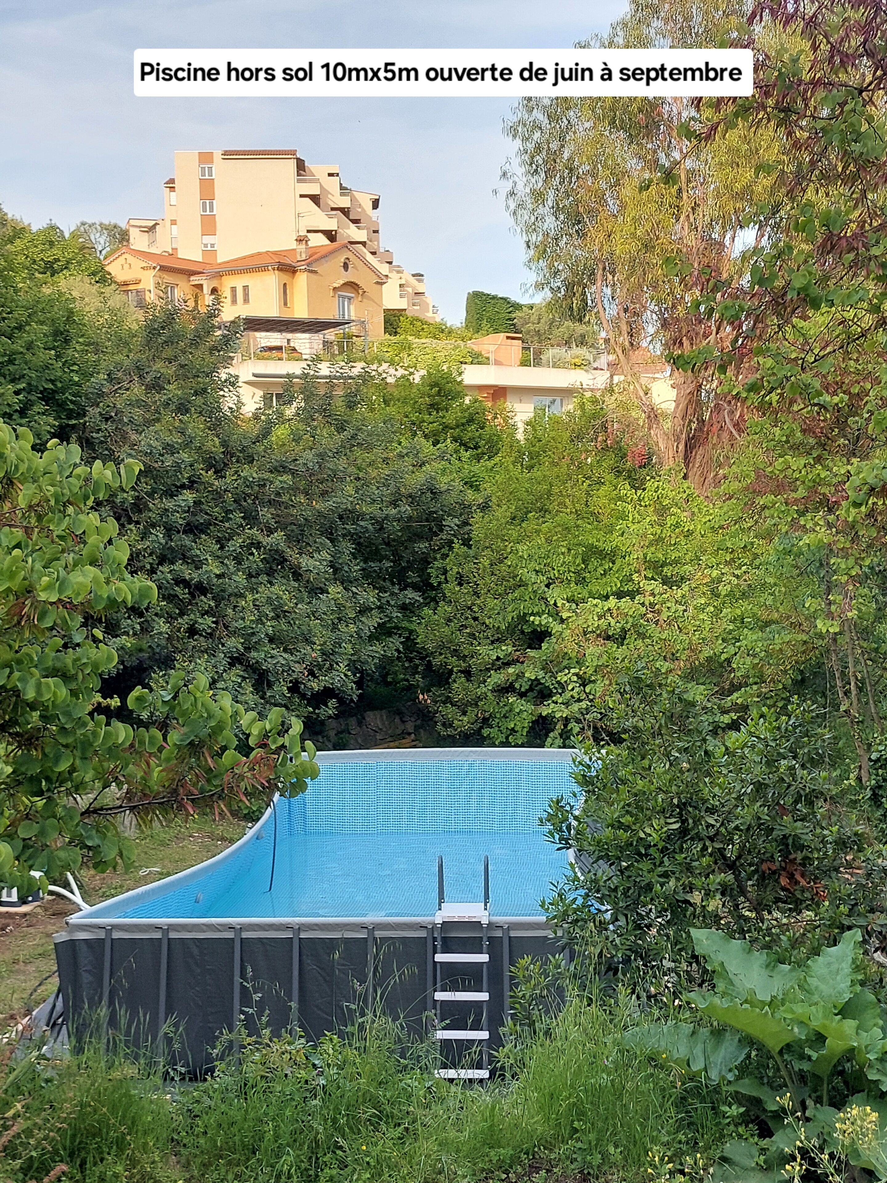Ein 10 mal 5 Meter großes Schwimmbecken im Freien, umgeben von üppiger Vegetation und einem Gebäude im Hintergrund.