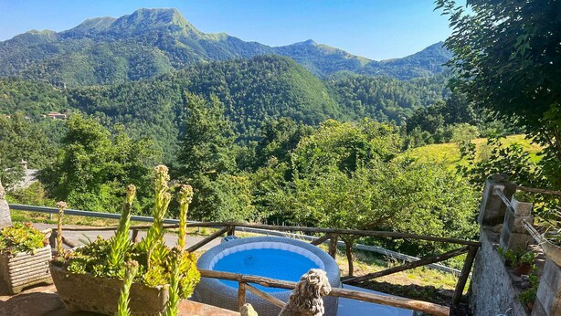 Ein Pool mit einer Steinen Löwenstatue, umgeben von Topfpflanzen und einem Holzzaun, mit Blick auf eine Berglandschaft.