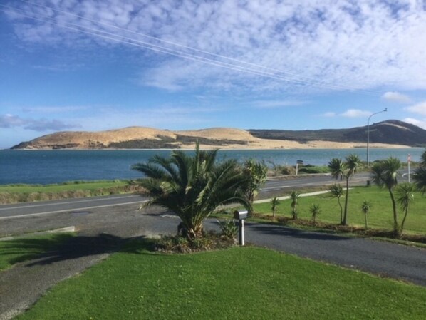 A coastal road with a grassy area and palm trees, leading to a beach with dunes and a clear sky.