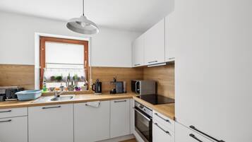 Kühlschrank, Mikrowelle, Herdplatte, Geschirrspüler