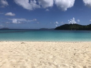 On the beach, sun-loungers, beach towels - Beachfront Cowpet Bay West 2br/2ba with King Beds, Generator, Pool (St Thomas)