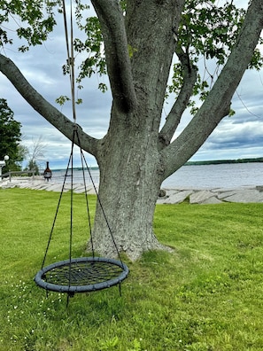 A large tree with a swing hanging from its branches, a grassy area, and a body of water in the background.
