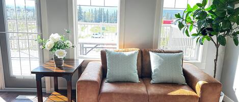 Älytelevisio, takka