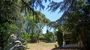 A garden with a pathway, benches, and a small bridge.