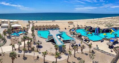 Studio on 7th. Floor, C30703