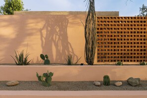 Property grounds - The Drachman - Heated Pool & Hot Tub, Spacious Retreat, UofA (Tucson)