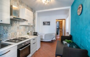 Fridge, stovetop, cookware/dishes/utensils