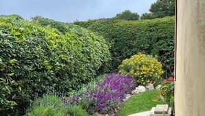 A garden pathway with various plants and a concrete path. - Coastal ranch-style home in garden setting.  (Carpinteria)