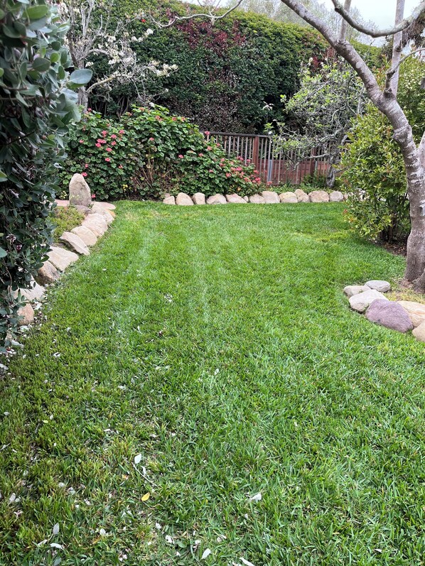 A well-maintained grassy lawn with a stone border and a variety of shrubs and trees. - Coastal ranch-style home in garden setting. (Carpinteria)