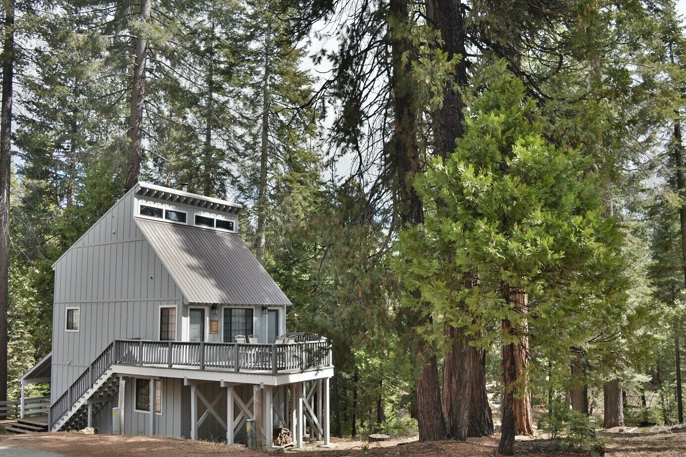 Serendipity: Renovated West Village Cabin with unobstructed forest views