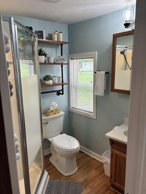 Hair dryer, towels, soap, shampoo