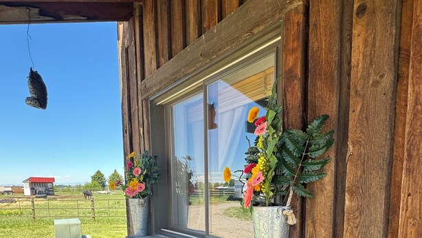 A wooden cabin with a window, a bench, and a hanging light fixture.