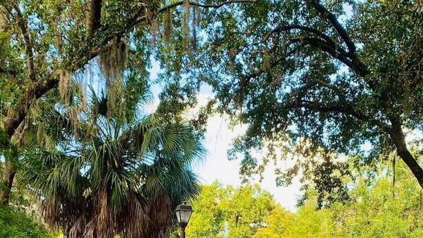 A park with a fountain, benches, and a picnic table. - Perfect vacation spot near Disney! - 7105 (Osceola County)