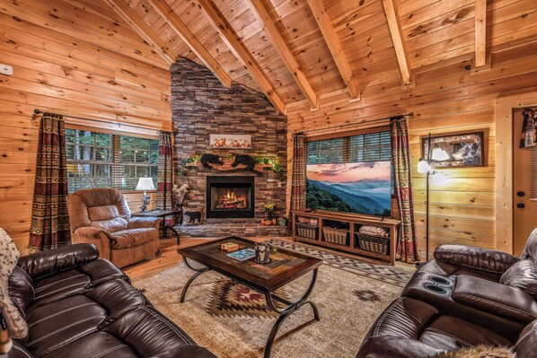 Smart-tv, pejs, videospil, dvd-afspiller