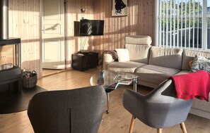 تلفزيون، مدفأة، مشغل دي في دي