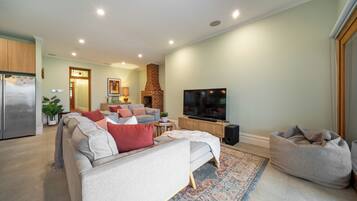 Smart TV, fireplace, DVD player, books