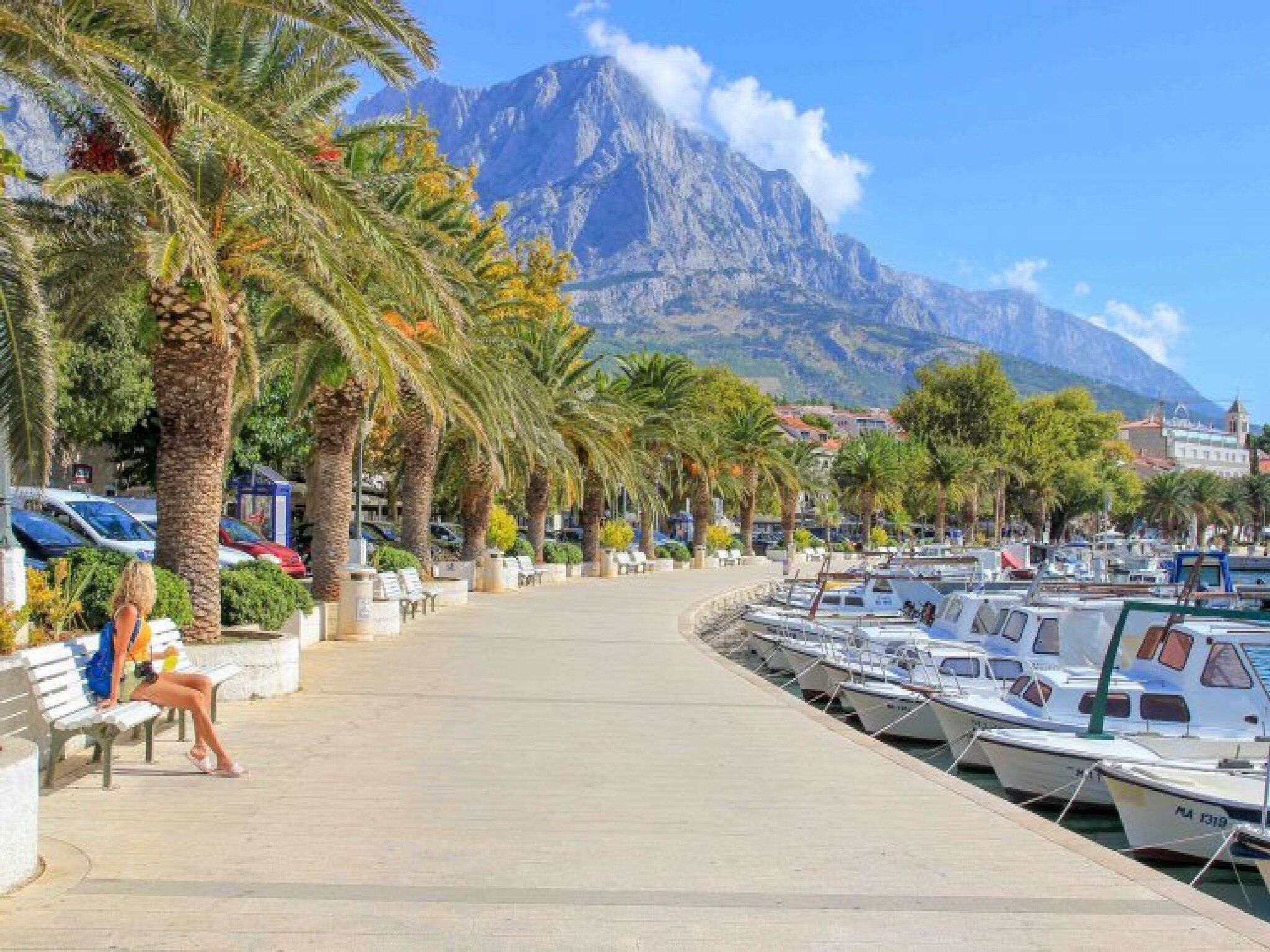 A marina with boats docked, palm trees lining the walkway, and a mountain in the background.