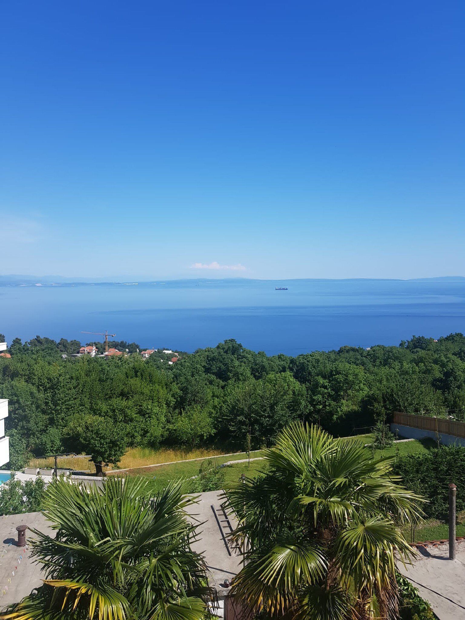 A coastal view with a clear sky, a distant ship, and dense greenery.