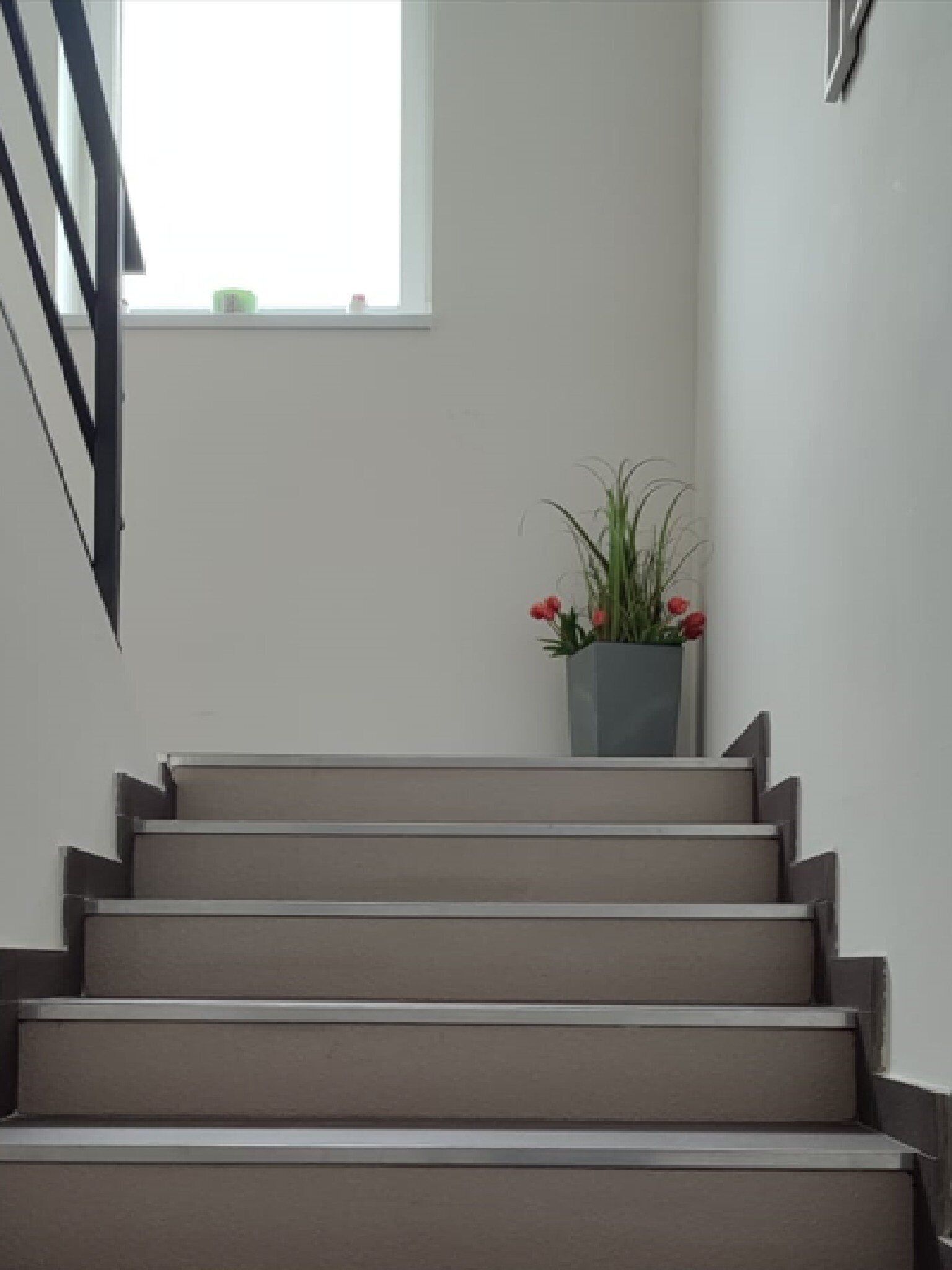 Un escalier surmonté d’un pot de fleurs.