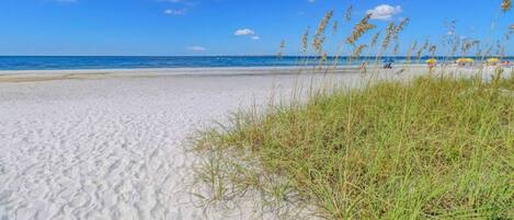 Windsurfen, Kajakfahren, Motorbootfahrt, Angeln
