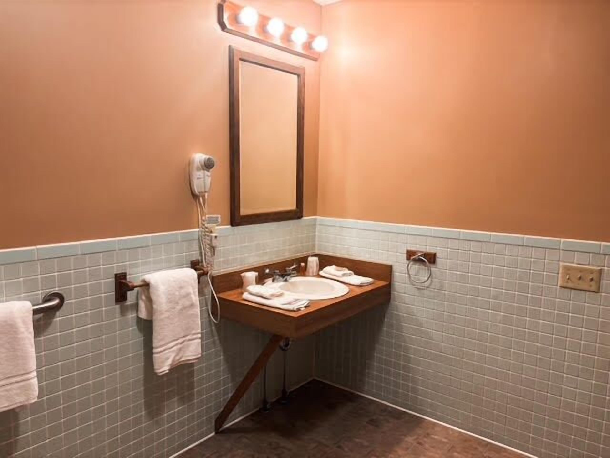 A bathroom with a vanity, a mirror, a towel rack, and a hairdryer.