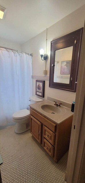 Towels, soap, shampoo, toilet paper - Our cozy apartment is your home away from home. 
 (Hibbing)