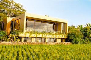 A modern building with large windows and a flat roof, surrounded by lush greenery and a field. - Hygge Villa Ubud (Ubud)