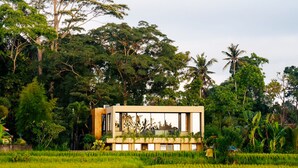 A modern building with a flat roof, surrounded by lush greenery and a rice field. - Hygge Villa Ubud (Ubud)