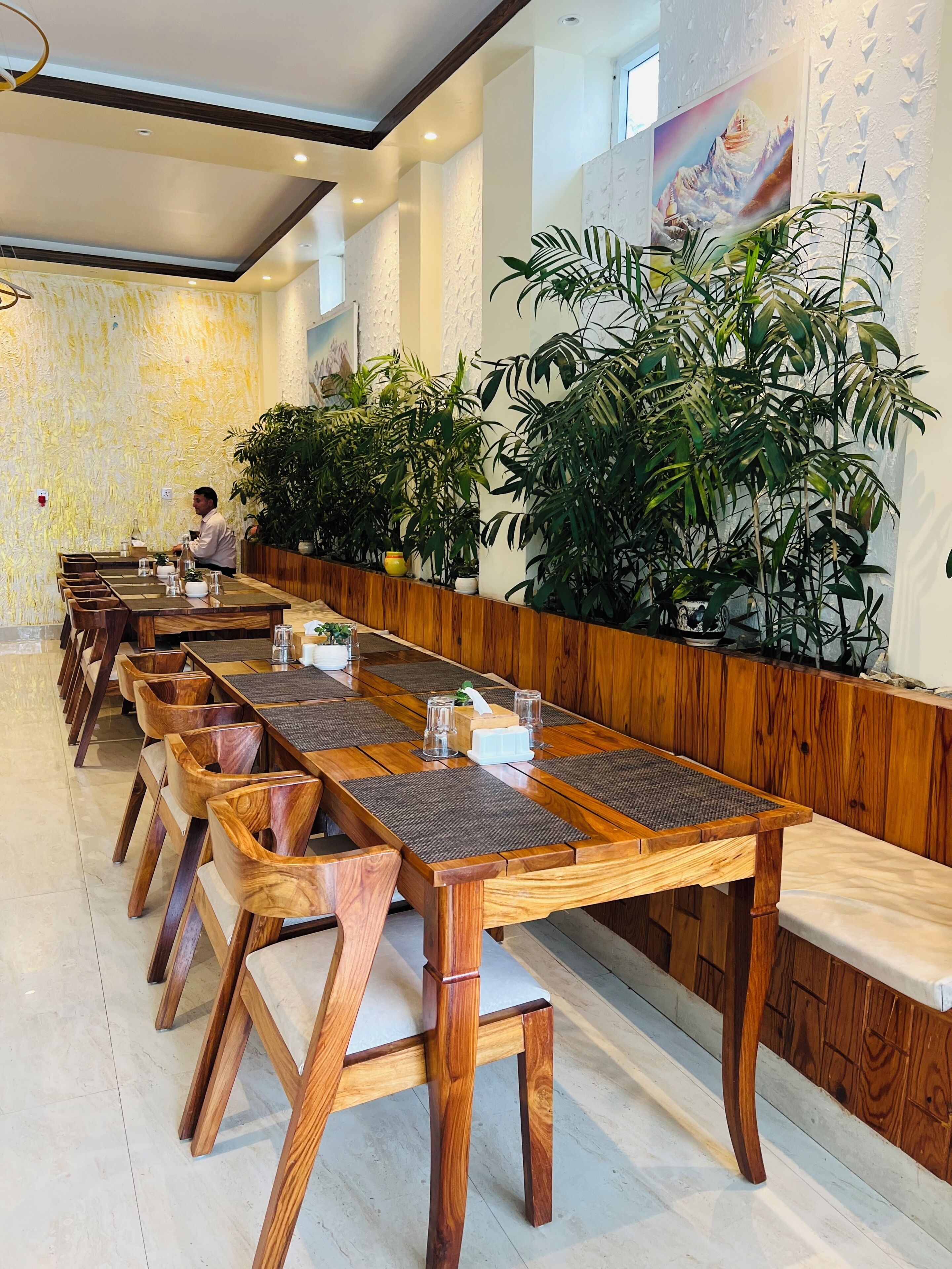 A long dining table with wooden chairs, surrounded by potted plants, in a well-lit room with a textured wall and a painting.