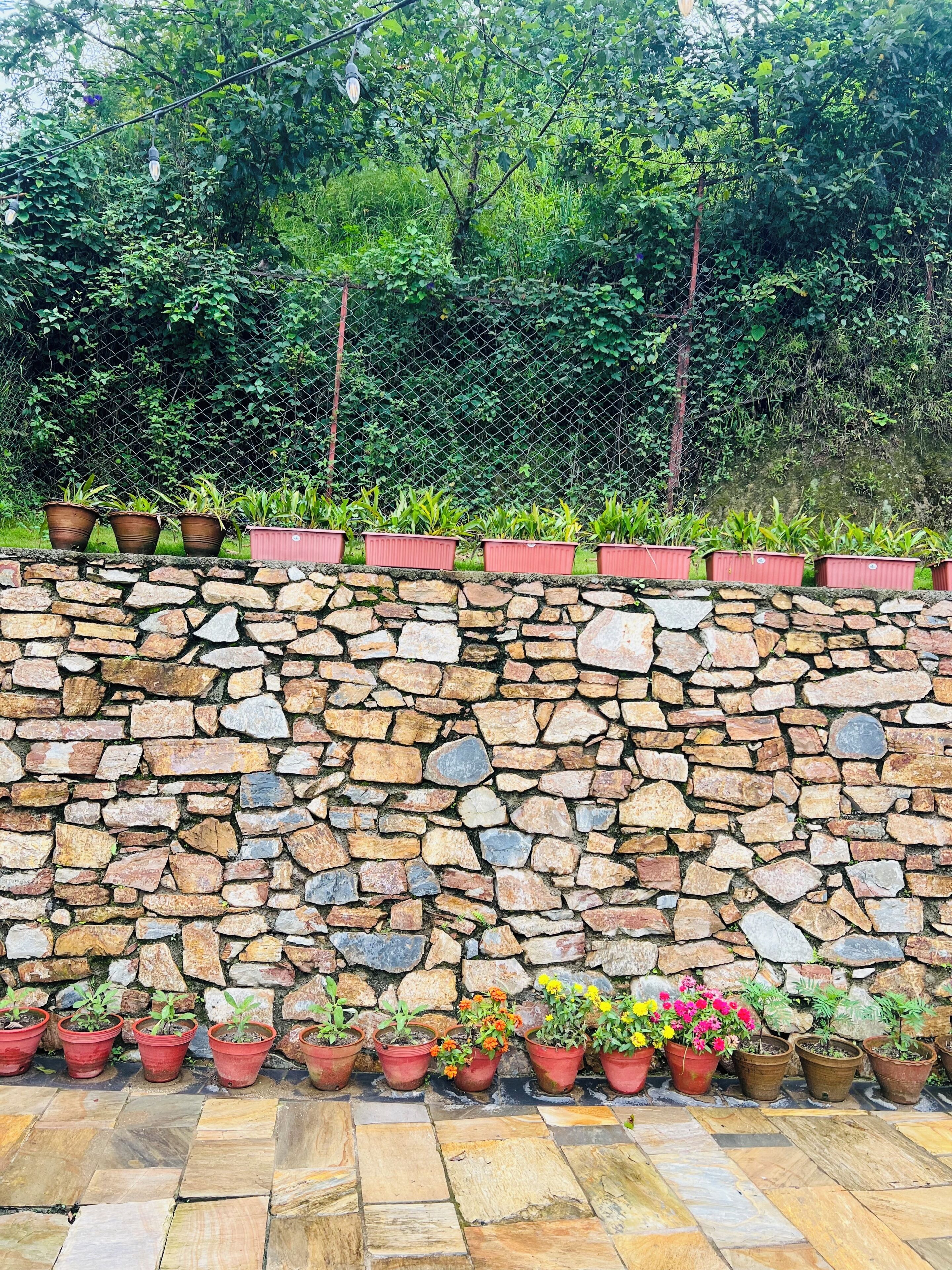 Un mur de pierre orné de plantes en pot disposées le long de ses bords supérieur et inférieur.