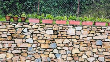 Un mur de pierre orné de plantes en pot disposées le long de ses bords supérieur et inférieur.