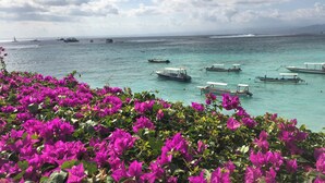 Vista costera con barcos y flores de buganvilla.