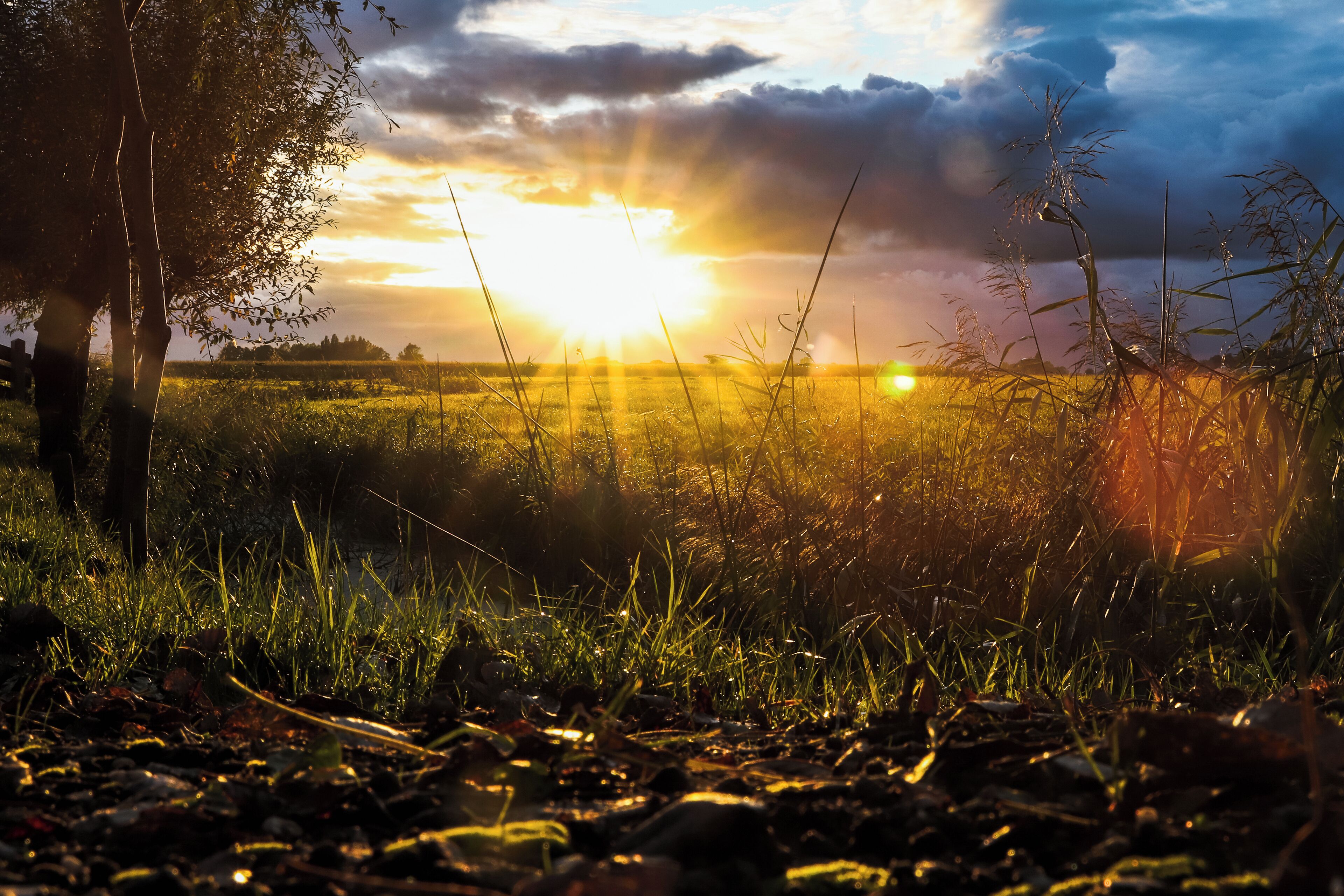 Een zonsondergang boven een veld met bomen en gras.