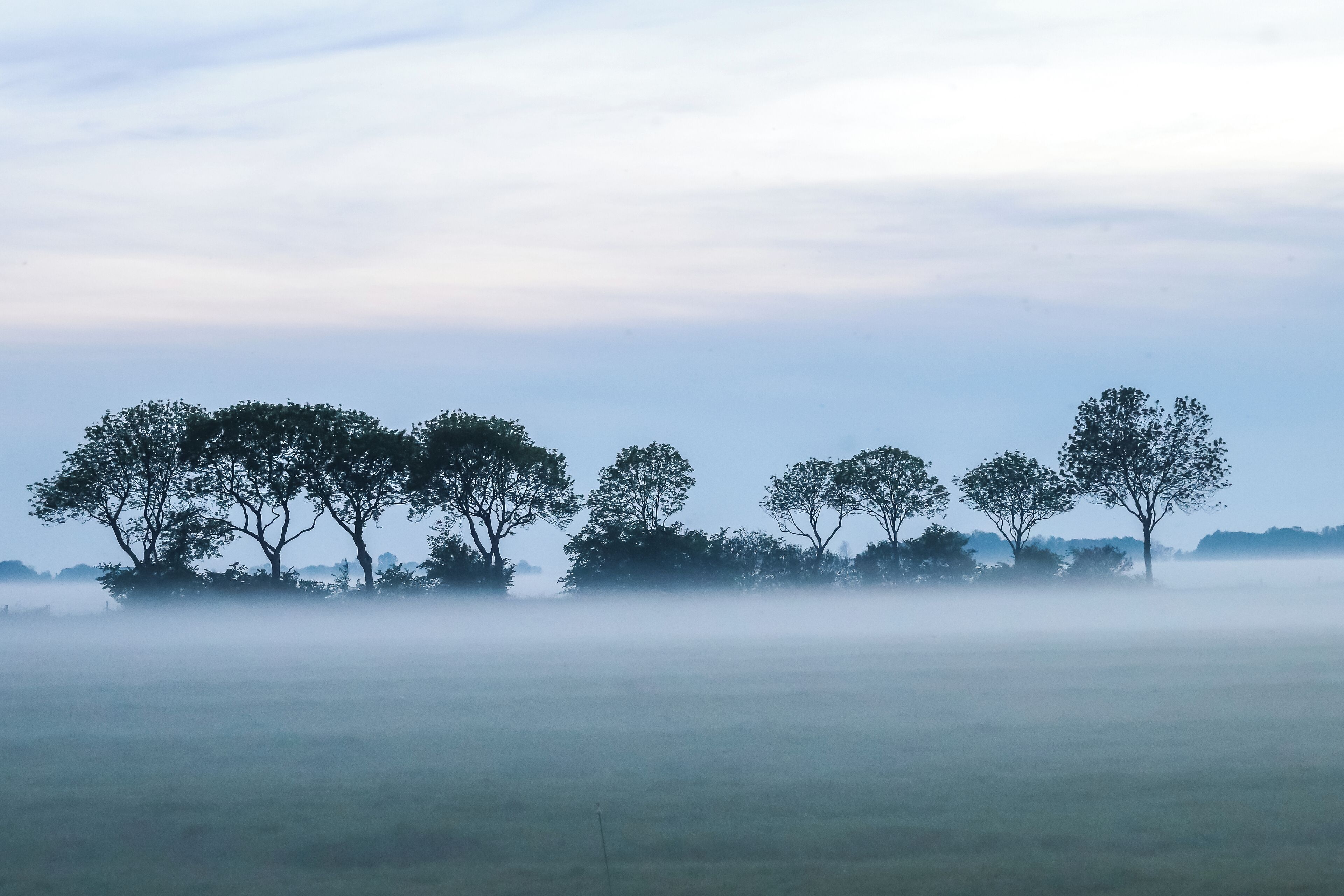 A misty landscape with trees and a flat field.