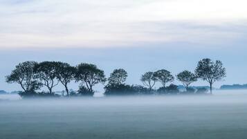A misty landscape with trees and a flat field.