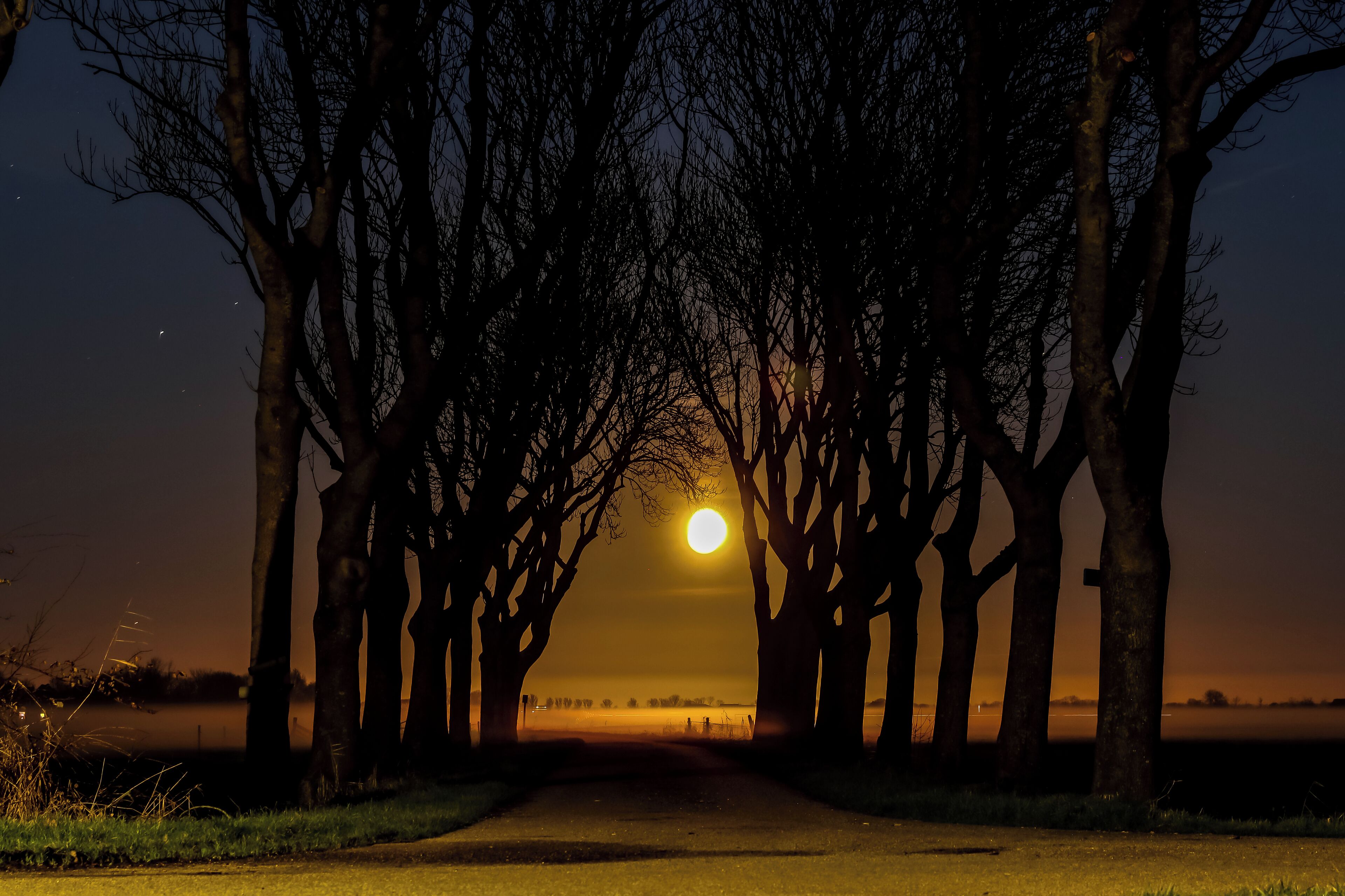 Un sentier bordé d’arbres qui mène à un plan d’eau, le tout baigné par la lumière d’une pleine lune.