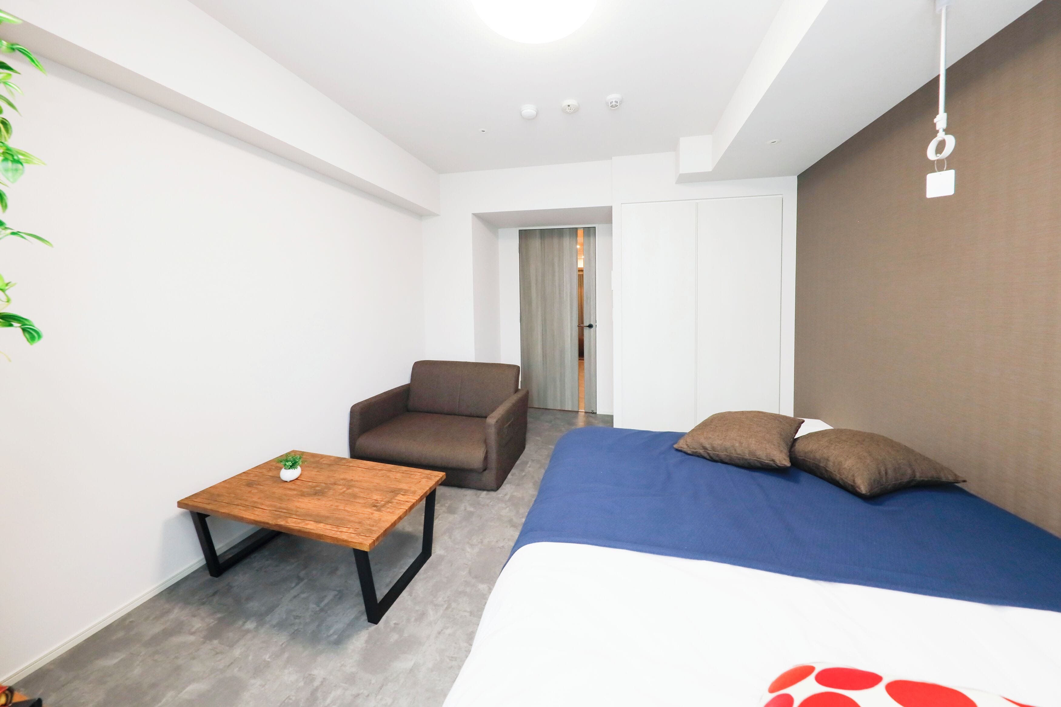 Una habitación de hotel moderna con una cama, una mesita, una silla y una planta.