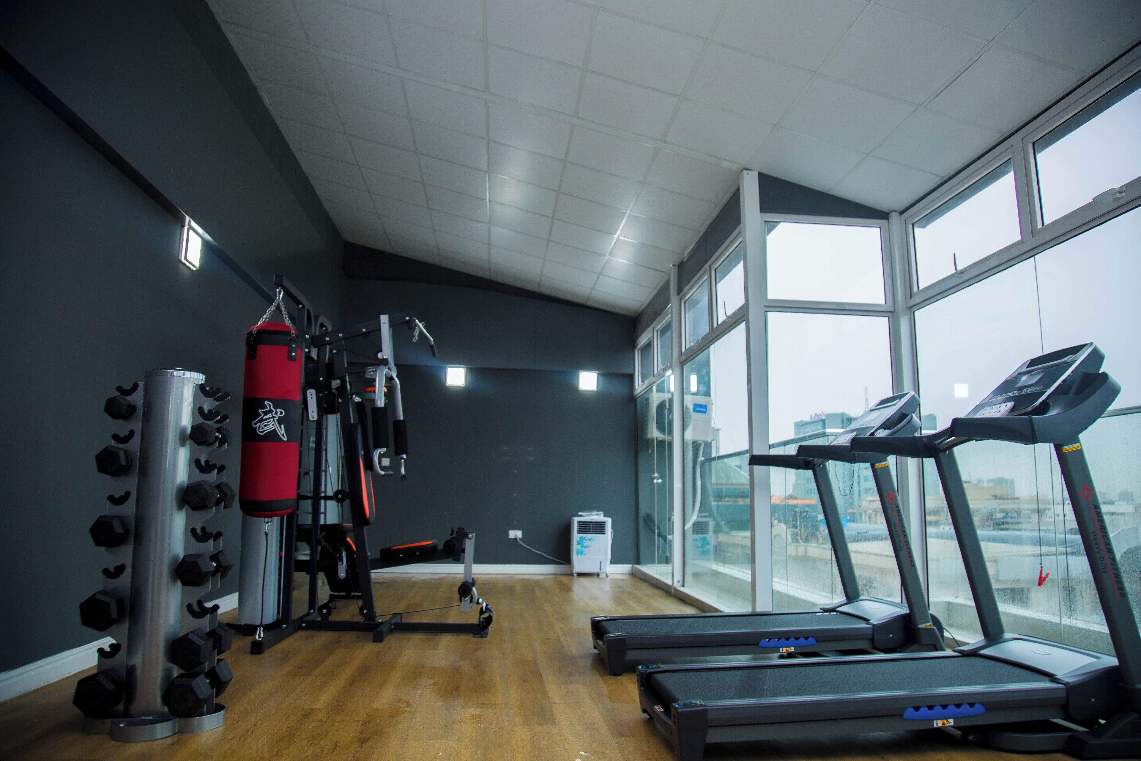 A gym with treadmills, a punching bag, and weight plates.