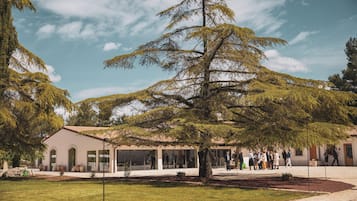 Jardín