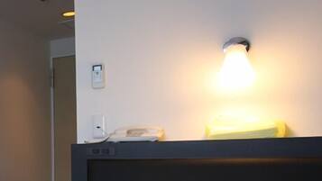 Economy Single Room, Non Smoking | Down comforters, desk, iron/ironing board, free WiFi