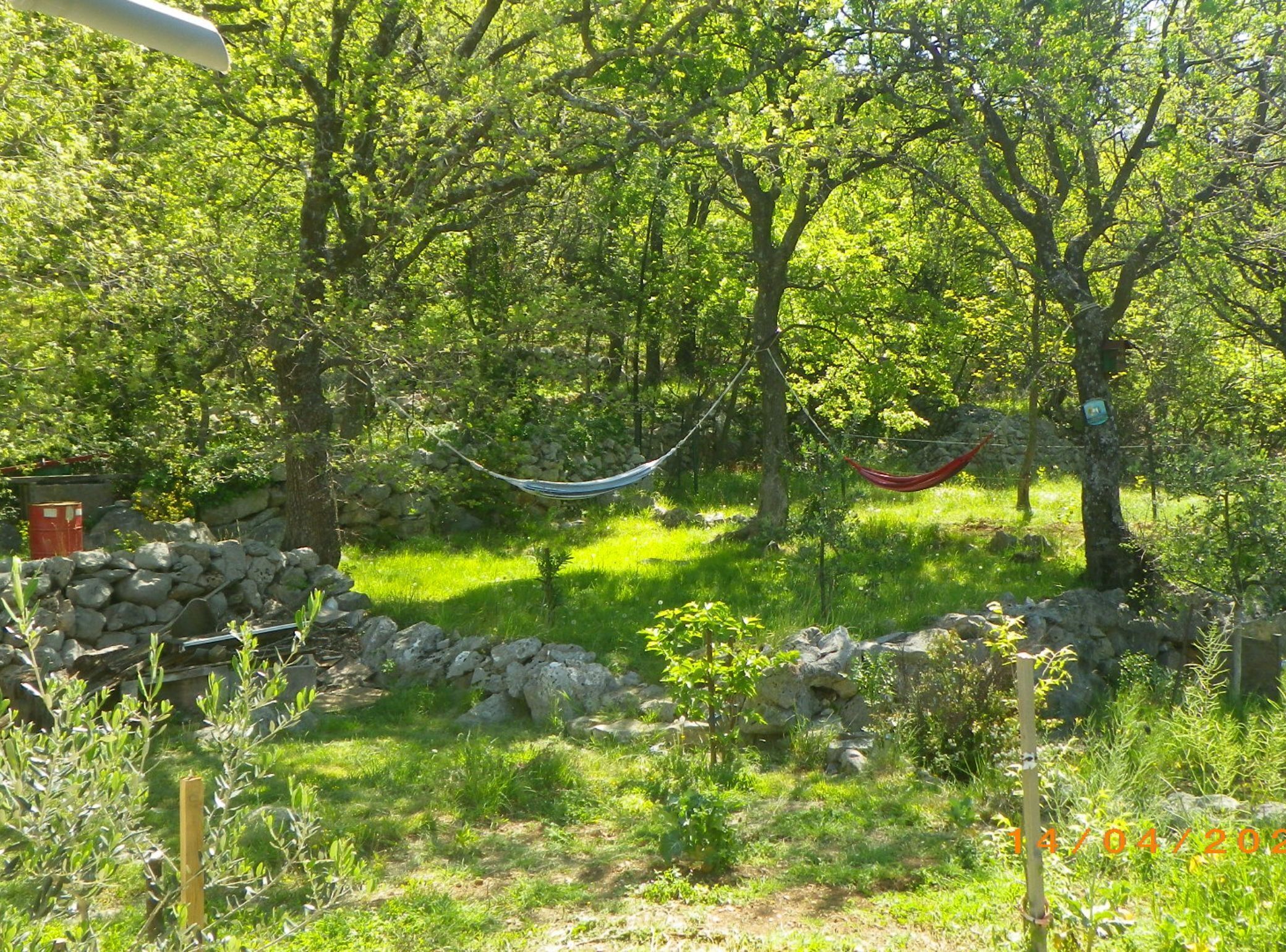A natural outdoor area with a hammock, trees, and a stone wall.