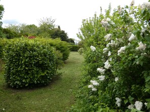 Property grounds - Maison Proche Center Parcs (Saint-Léger-de-Montbrillais)