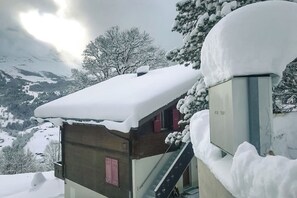 Exterior - Chalet Bussalp in Ruhiger Lage (Grindelwald)