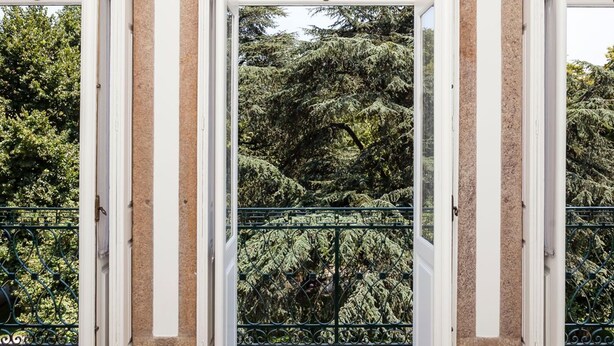 A view through a window with a view of trees and a green metal railing. - Passeio de São Lázaro nº 5 (Porto)