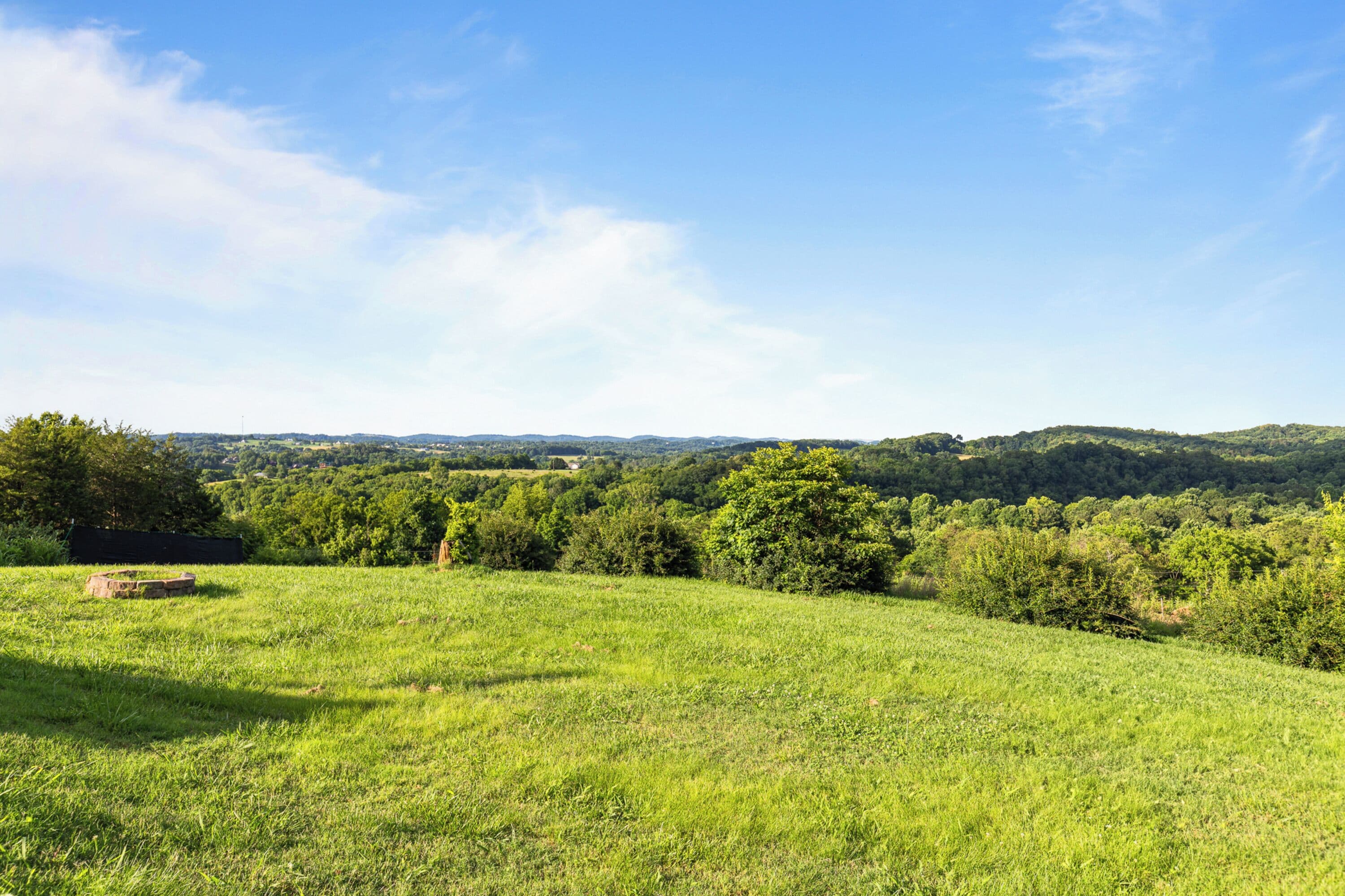 Un champ herbeux, avec des arbres et des collines en arrière-plan.